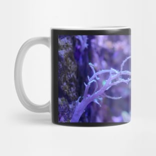 Tree-like coral Mug